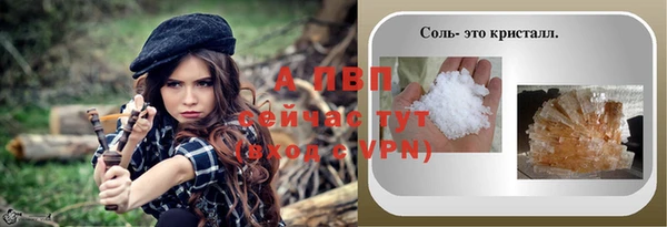 стаф Осташков