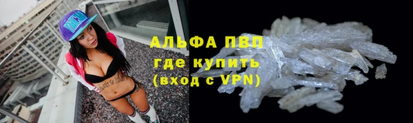 стаф Осташков