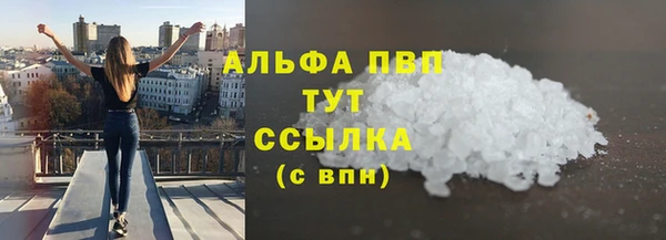 стаф Осташков
