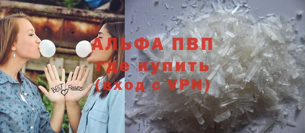 стаф Осташков
