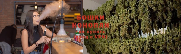 стаф Осташков