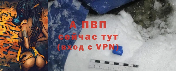 стаф Осташков