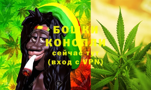 стаф Осташков